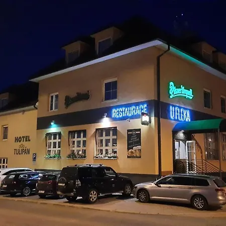 潘普鲁洪尼斯图利酒店 酒店