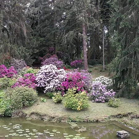 Tulipan 3* Průhonice