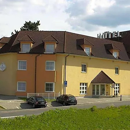 Tulipan Průhonice
